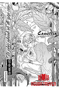 [Camellia] Cậu Đang Mỉm Cười