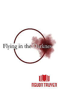 Flying In The Darkness