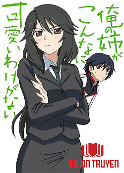 Infinite Stratos Doujinshi- My Older Sister Can Be This Overprotective