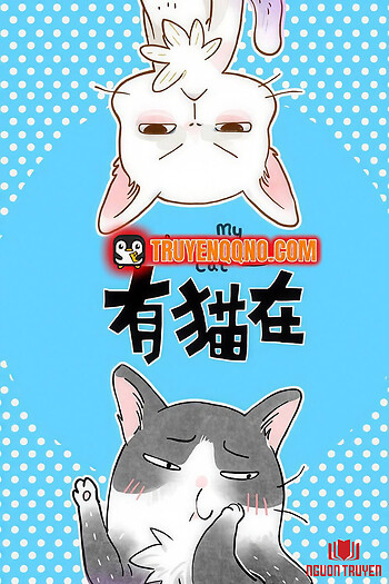 Ở Đây Có Mèo