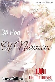 Bó Hoa Của Narcissus - Bo Hoa Cua Narcissus