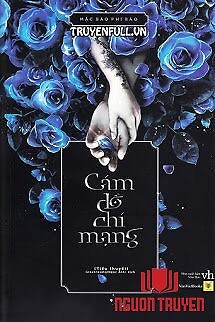 Cám Dỗ Chí Mạng - Cam Do Chi Mang