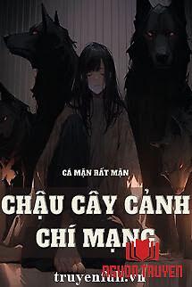 Chậu Cây Cảnh Chí Mạng - Chau Cay Canh Chi Mang