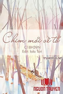 Chim Mỏi Về Tổ - Chim Moi Ve To