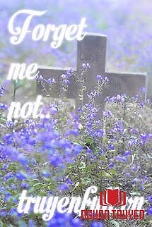 Forget Me Not - Forget Me Not