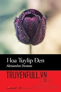 Hoa Tulip Đen - Hoa Tulip Đen