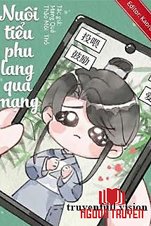 Nuôi Tiểu Phu Lang Qua Mạng - Nuoi Tieu Phu Lang Qua Mang