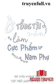 Ở Trong Văn Tổng Tài Làm Cực Phẩm Nam Phụ - Ở Trong Van Tong Tai Lam Cuc Pham Nam Phu