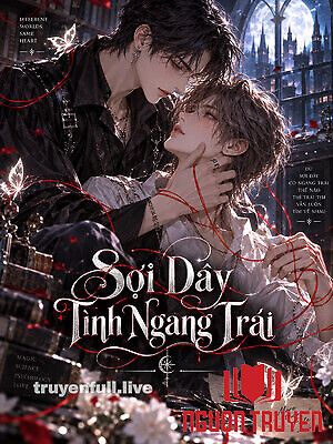 Sợi Dây Tình Ngang Trái - Soi Day Tinh Ngang Trai