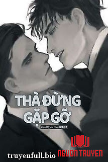 Thà Đừng Gặp Gỡ (Đam Mỹ) - Tha Đung Gap Go (Đam My)