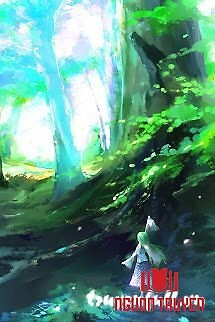 The Lost Song Of Light Forest - The Lost Song Of Light Forest