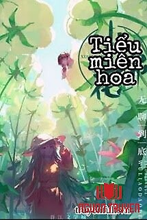 Tiểu Miên Hoa - Tieu Mien Hoa