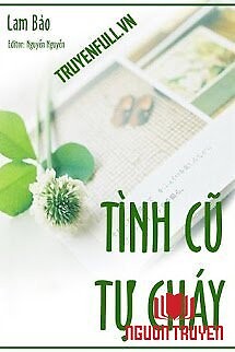 Tình Cũ Tự Cháy