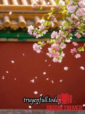 Tuế Nguyệt Tĩnh Hảo - Nam Phong - Tue Nguyet Tinh Hao - Nam Phong