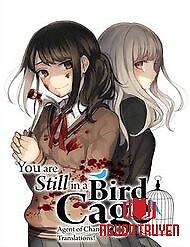 You Are Still In A Bird Cage - Kimi Wa Mada Tori Kago No Naka; Mày Vẫn Còn Ở Trong Lồng Chim